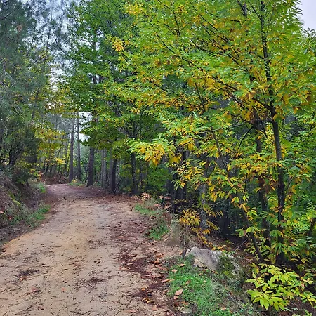 Parque Gredos *